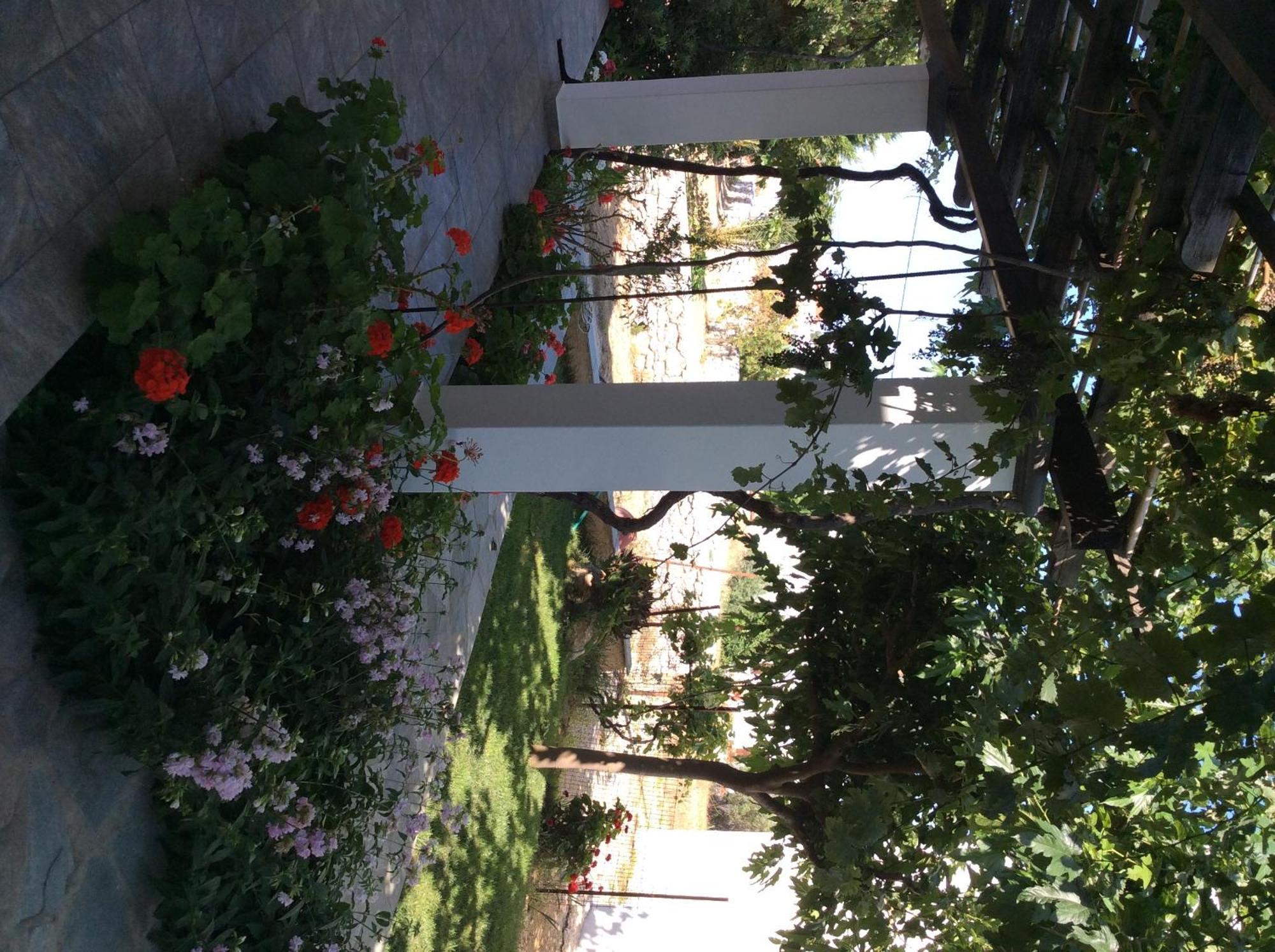 Eleana Studios Skyros Luaran gambar
