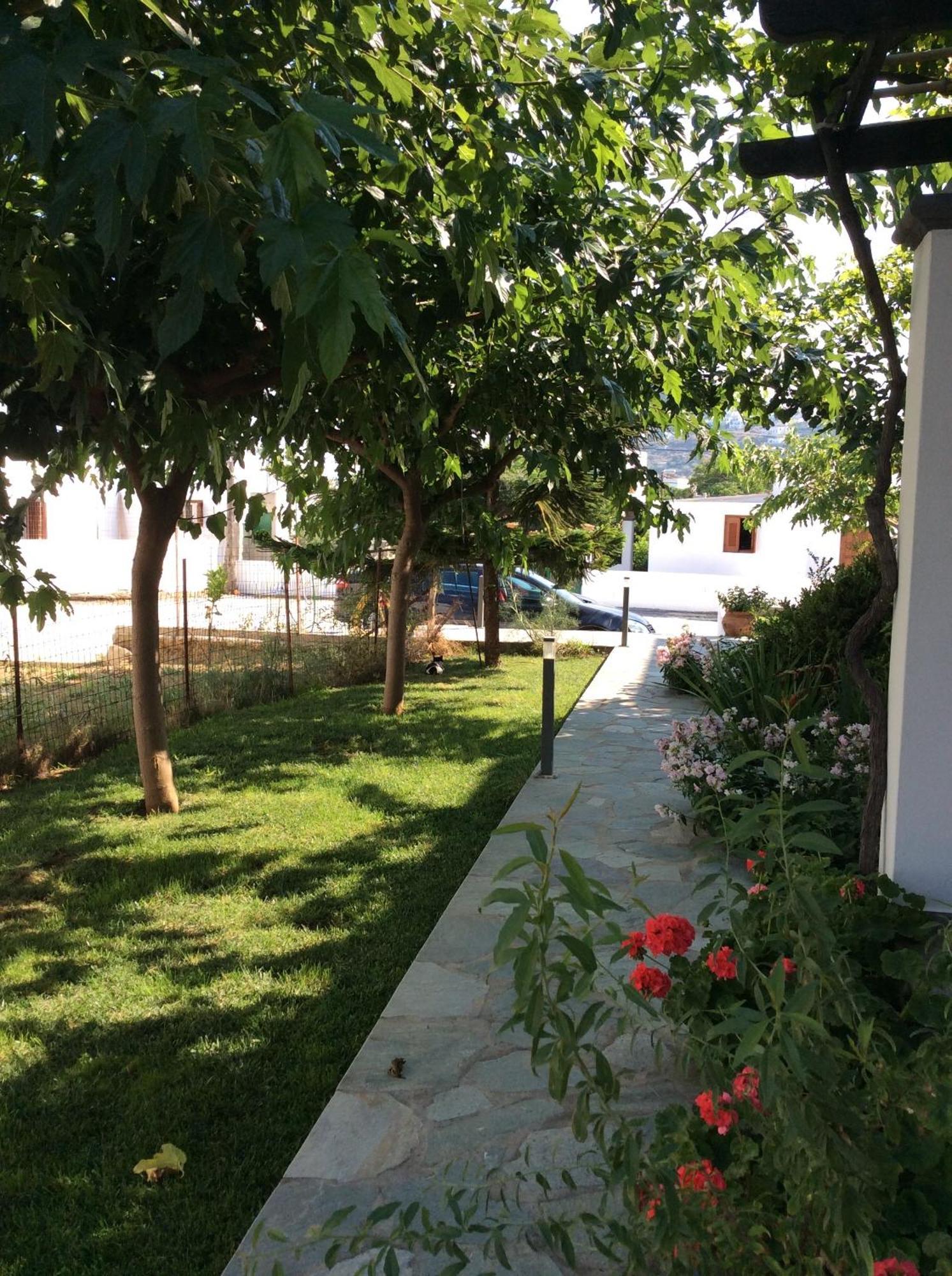 Eleana Studios Skyros Bilik gambar