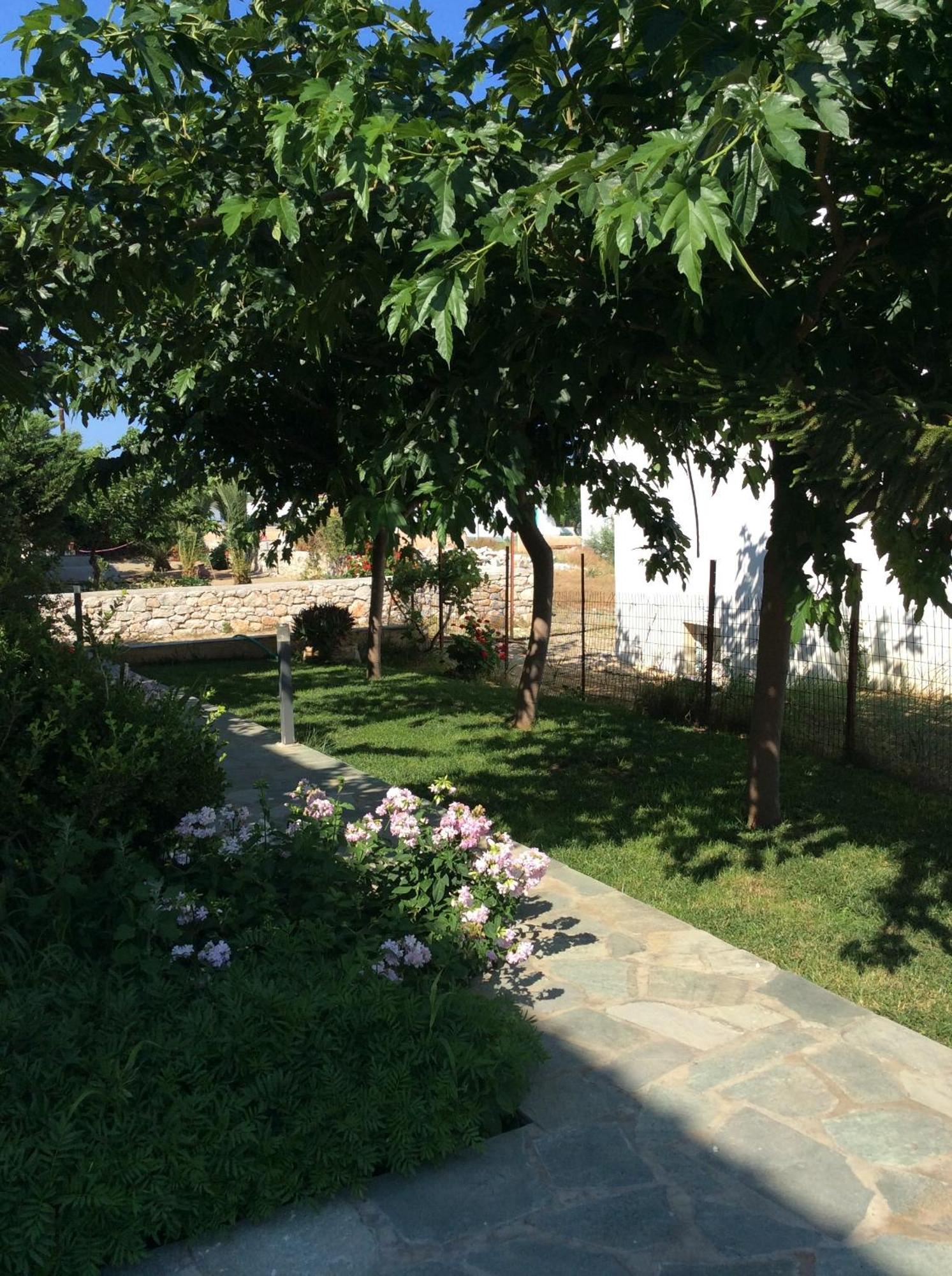 Eleana Studios Skyros Luaran gambar