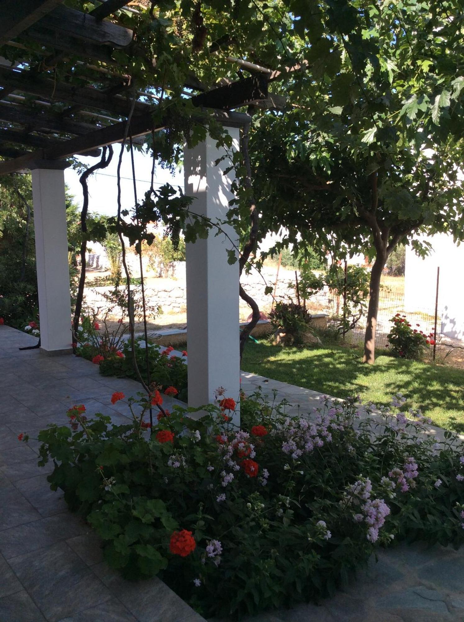 Eleana Studios Skyros Luaran gambar
