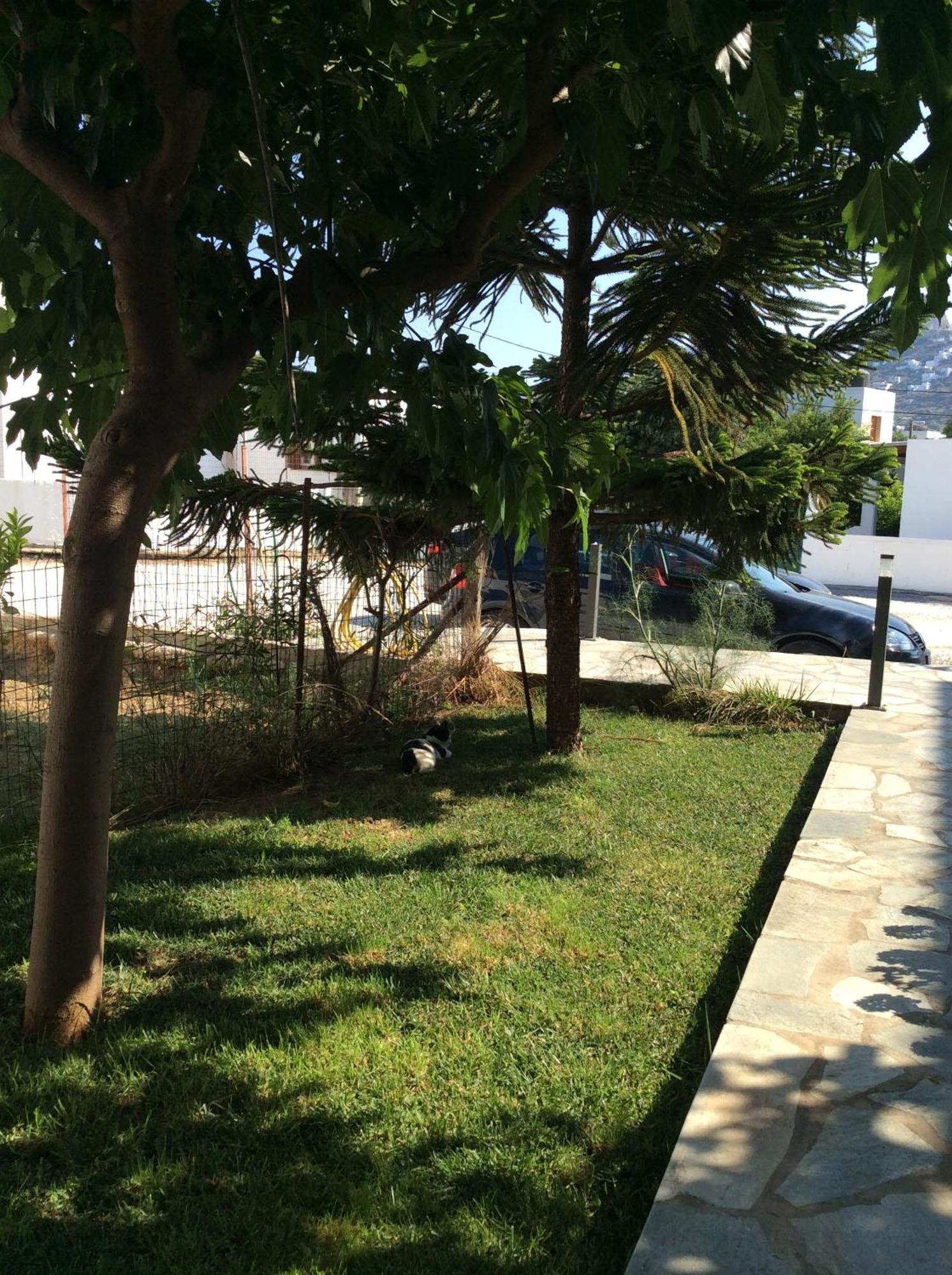 Eleana Studios Skyros Luaran gambar