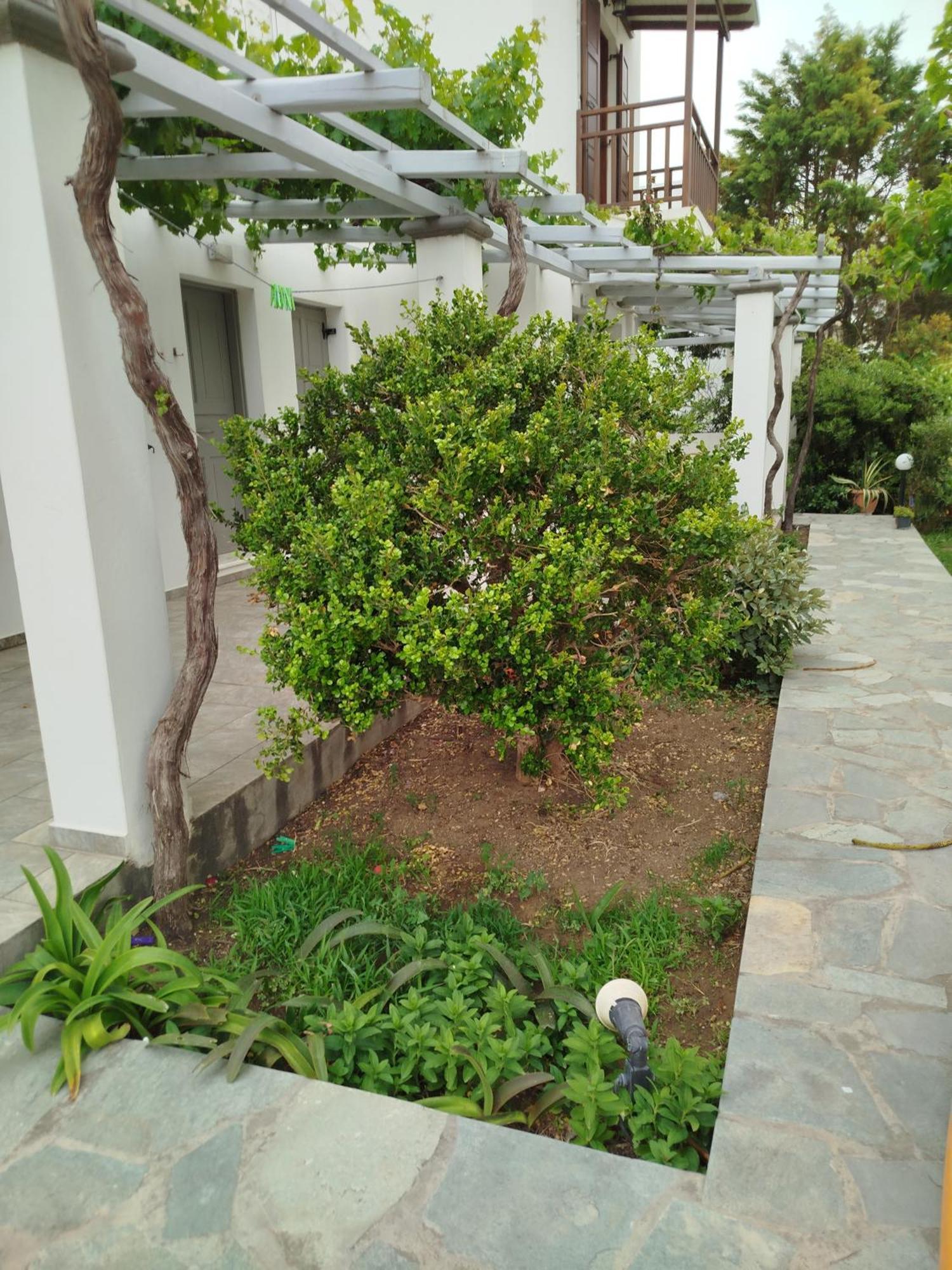 Eleana Studios Skyros Luaran gambar