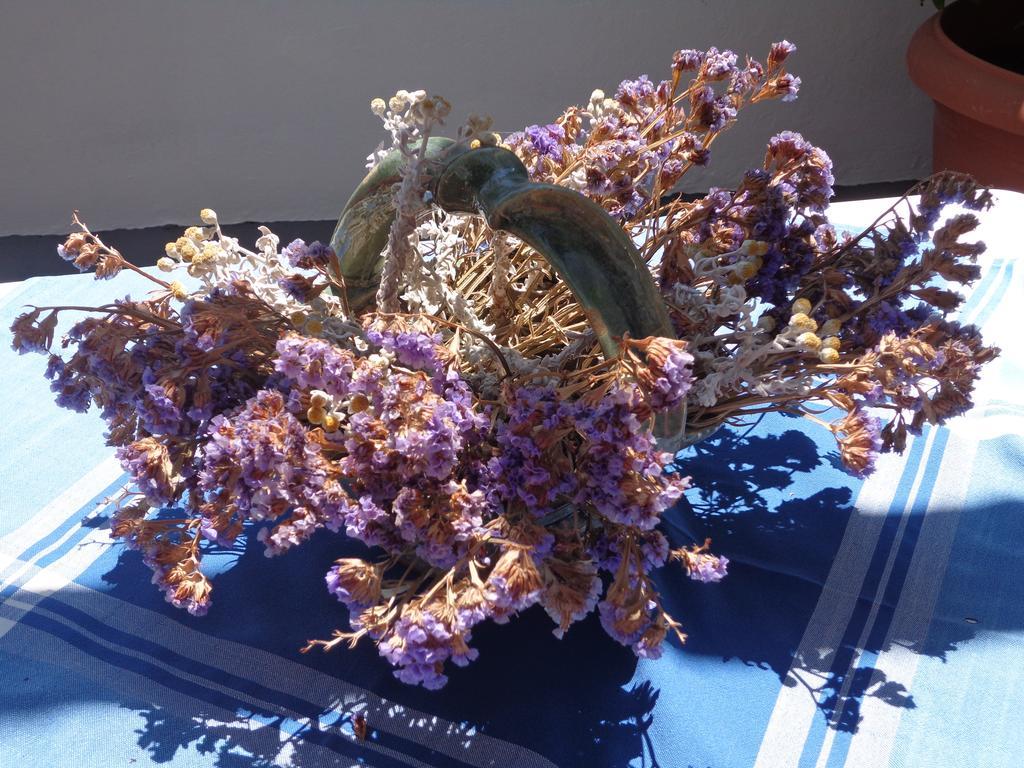 Eleana Studios Skyros Luaran gambar